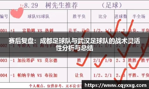 赛后复盘：成都足球队与武汉足球队的战术灵活性分析与总结
