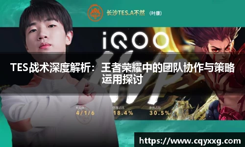 TES战术深度解析：王者荣耀中的团队协作与策略运用探讨